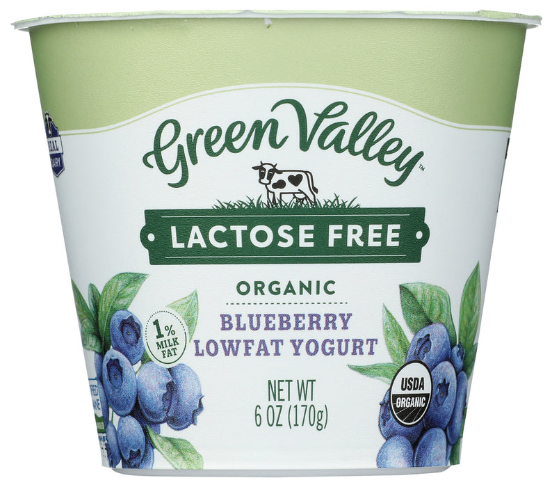 GREEN VALLEY ORGANICS: Yogurt Low Fat Lactose Free Blueberry, 6 oz