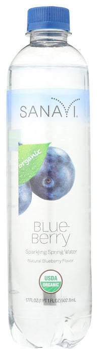 SANAVI: Blueberry Sparkling Spring Water, 17 fo